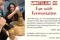 1 Fermentation
