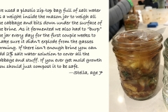 14 Fermentation