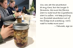 15 Fermentation