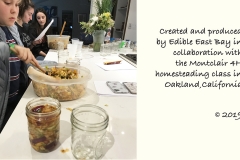 Fermentation slide show.indd