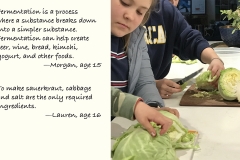 2 Fermentation