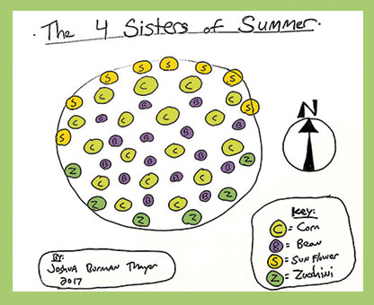 May in the Garden: The Three Sisters of Summer Adopt a Fourth