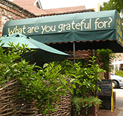 Cafe-Gratitude