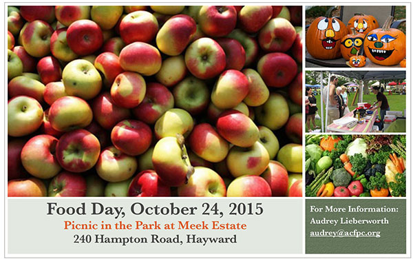 Hayward's Food Day picnic serves up a mix of new ideas, inspiration, community, and delicious treats.