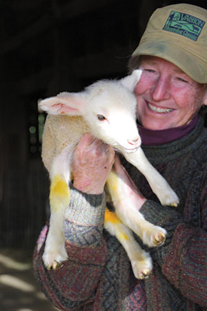Ellen Skillings cuddles a days-old lamb still showing yellow marks left by the iodine that was used to drench his naval and remaining umbilical cord when he was born.