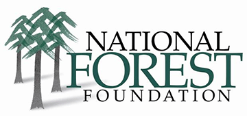 NFF-Logo