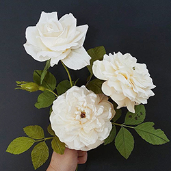 crepe-paper-roses