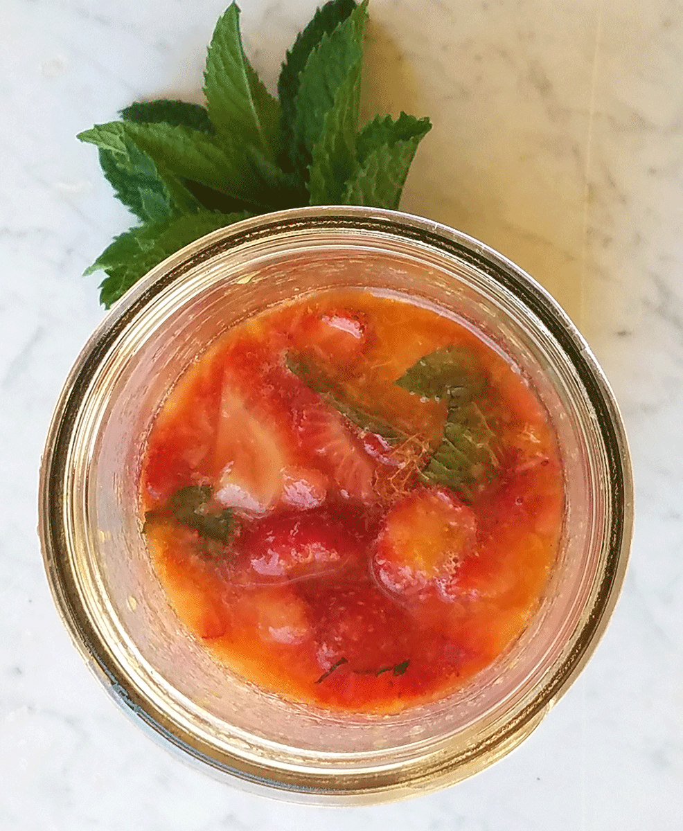 Mint & Stone Fruit Herbal Shrub <br/> Recipe and photo by Anna Marie Beauchemin | East Bay Herbals