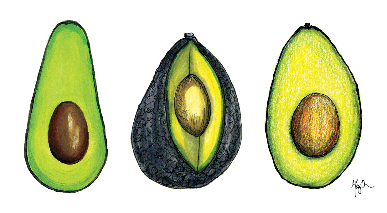 The East Bay Avocado | Edible East Bay
