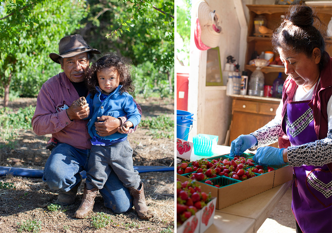 What’s in Season a Visit to Brentwood Edible East Bay