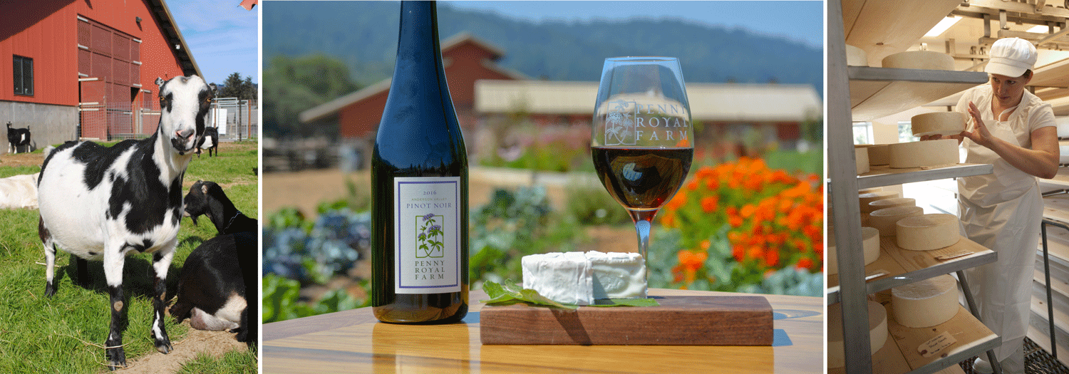Meet the Pennyroyal Farm Cheesemaker: July 27 at 6pm on Zoom | Edible ...