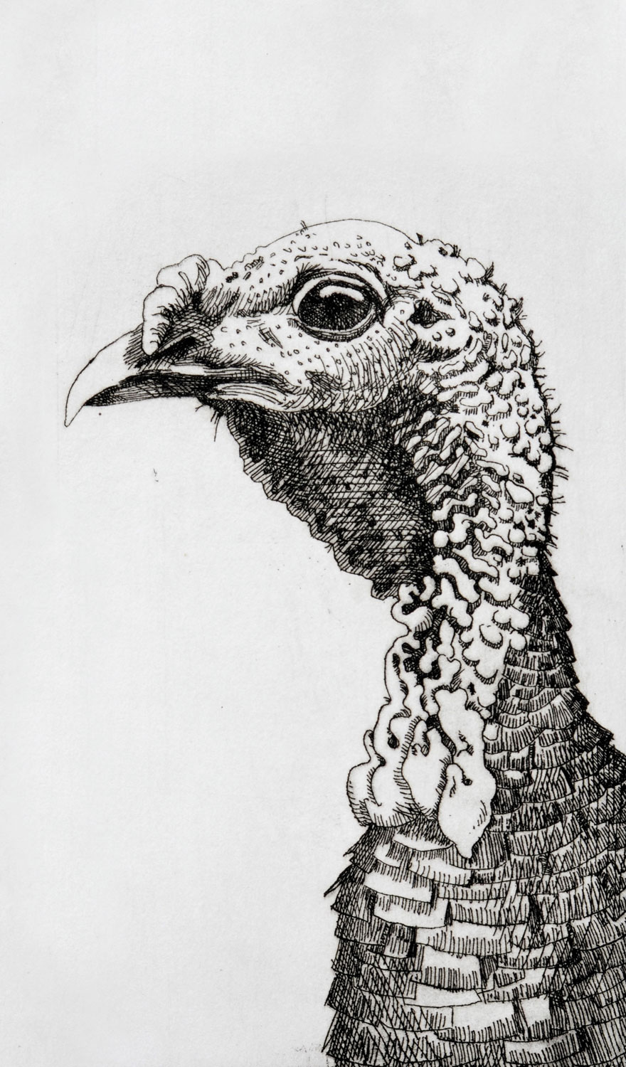 celia-turkey-for-article.jpg