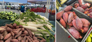 Market Ramble in Newark